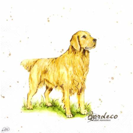 Serwetka decoupage firmy IHR labrador 33x33cm